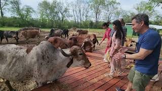 Murari Sanctuary | Hidden Nature Spot in Tennessee 🌲🦌 #Shorts