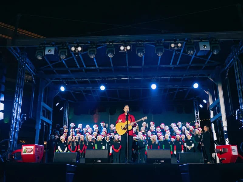 Franklin Tree Lighting